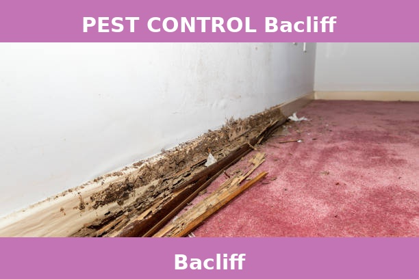 PEST CONTROL Bacliff